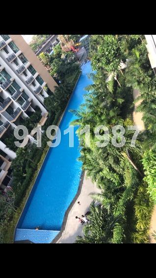 The Glades (D16), Condominium #173165492